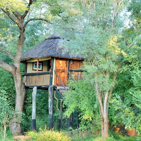 Ivory Lodge Dete Εξωτερικό φωτογραφία