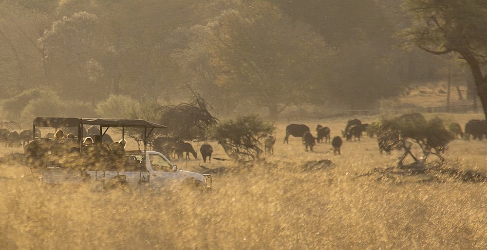 Ivory Lodge Dete Εξωτερικό φωτογραφία