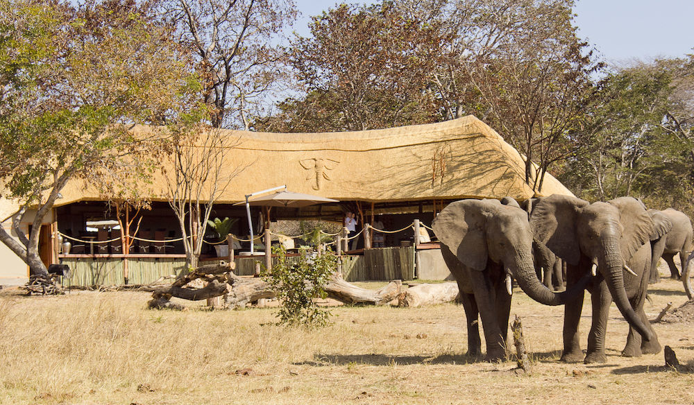 Ivory Lodge Dete Εξωτερικό φωτογραφία