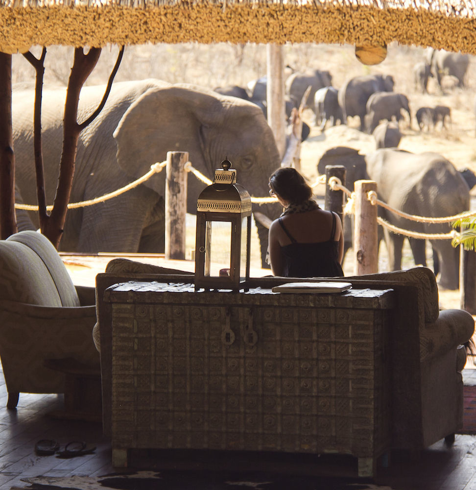 Ivory Lodge Dete Εξωτερικό φωτογραφία