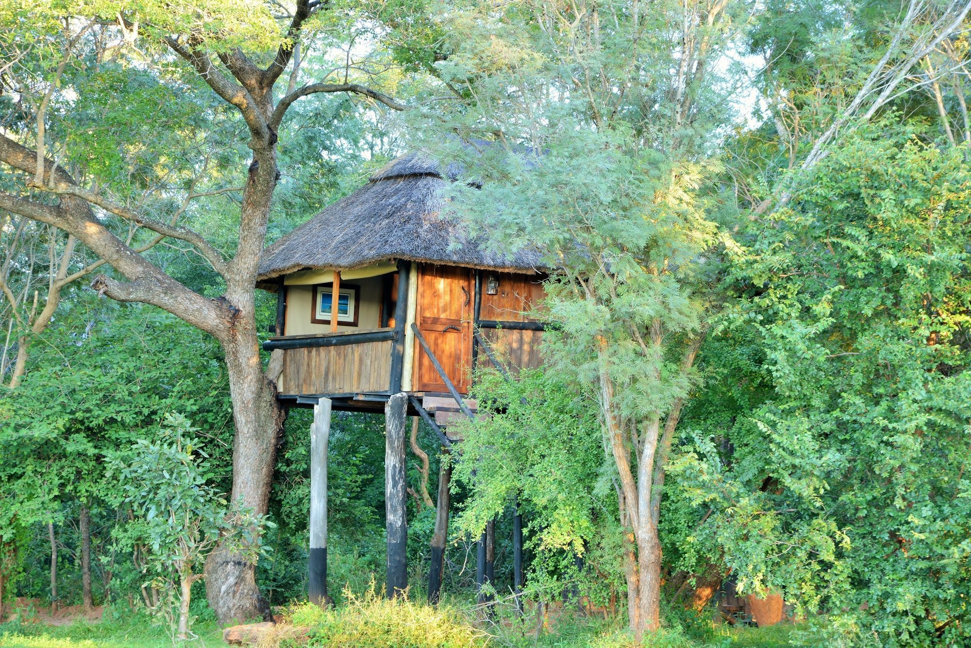 Ivory Lodge Dete Εξωτερικό φωτογραφία